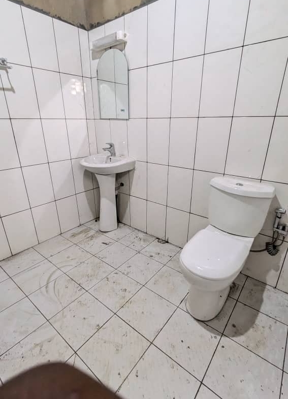 567